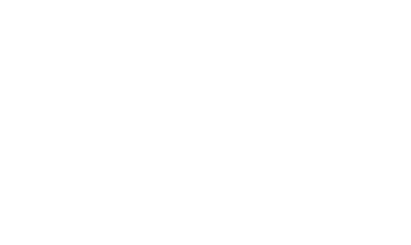 Prins Group
